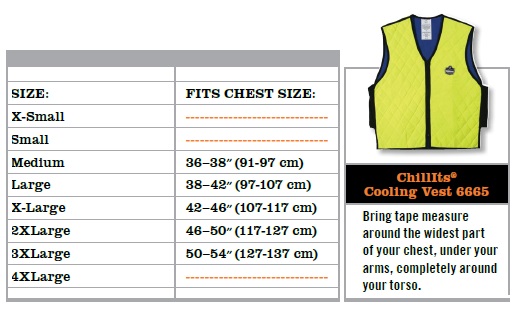 Ergodyne Chill-Its 6665 Unisex 2XL Gray Evaporative Cooling Vest